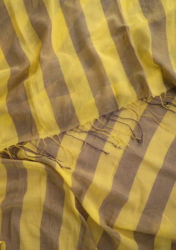 Airy Stripes: Lightweight Semi-Translucent Cotton Saree (No Blouse)